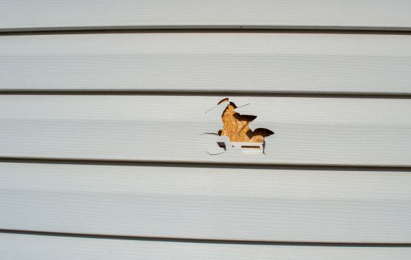 Siding Hole Patching in Concord